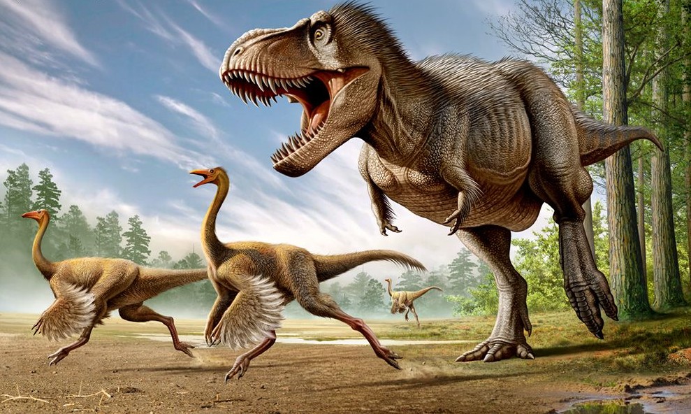 Tiranosaure Tiranosaure