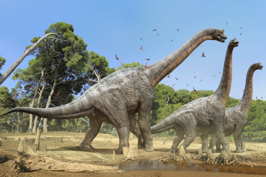 Braquiosaure Braquiosaure