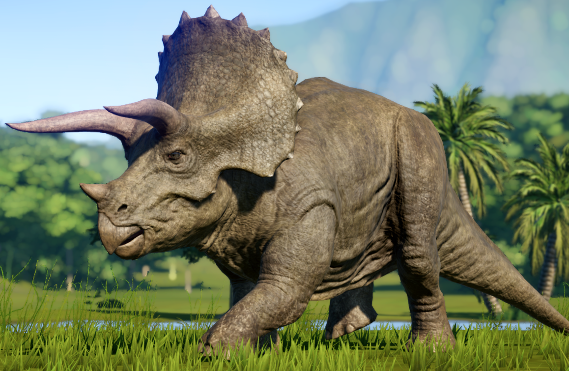 Triceratops Triceratops