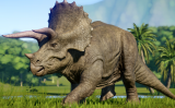 Triceratops