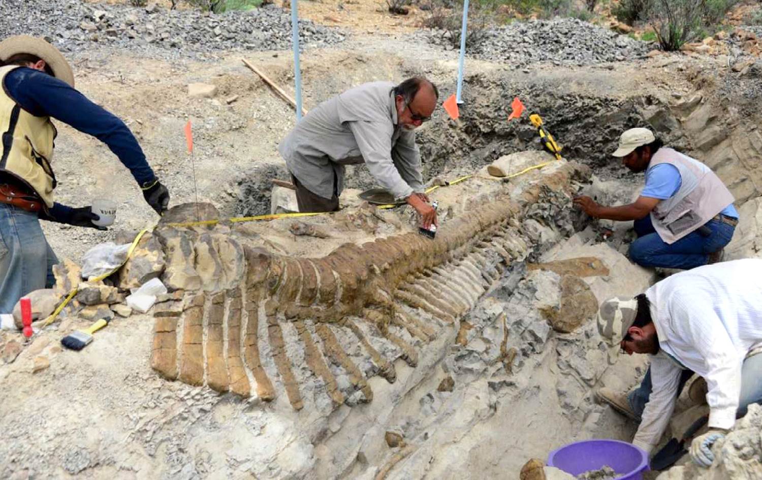 Paleontòlegs en una excavació Paleontòlegs en una excavació