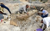 Paleontòlegs en una excavació
