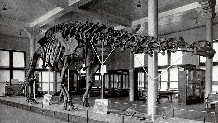 Brontosaure Brontosaure