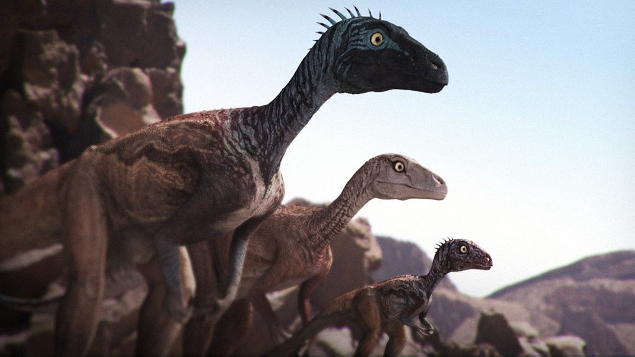 Eoraptor Eoraptor