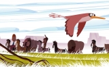 petit70oglala petit70oglala