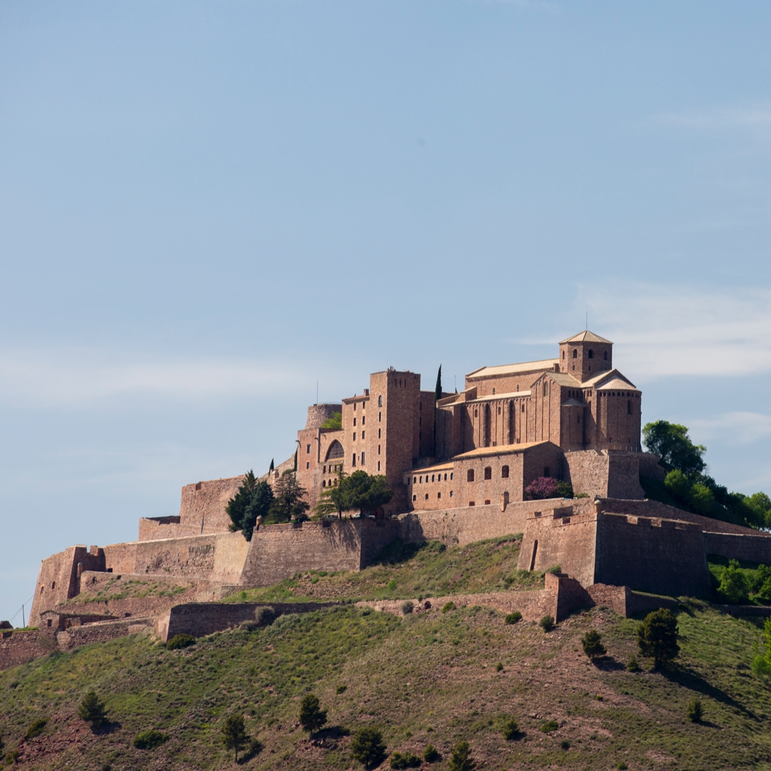 Castell de Cardona Castell de Cardona
