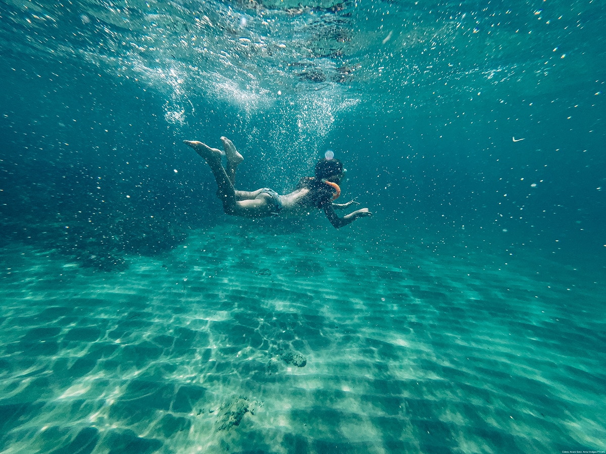 La transparència de l'aigua del mar és impressionant