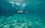 La transparència de l'aigua del mar és impressionant