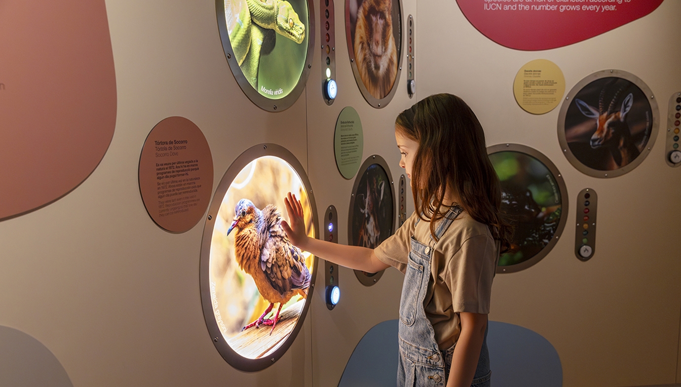 L'experiència interactiva és atractiva per a tota la família