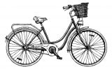200 anys de bicicletes (Il·lustració del número 6 del Petit SÀPIENS)