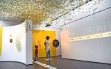 MuseuGranollersPetitSapiens24 MuseuGranollersPetitSapiens24