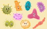 Dibuixos de virus i bacteris