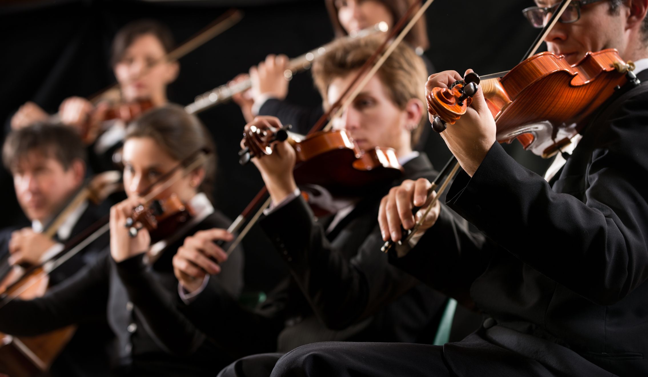 Violinistes Violinistes