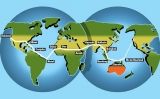 Aquesta és la ruta de la volta al món de l'Amelia Aquesta és la ruta de la volta al món de l'Amelia