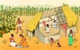 Les cases dels pagesos eren d'una sola habitació Les cases dels pagesos eren d'una sola habitació