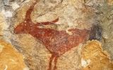 La gran cabra del jaciment del Mas d'en Llort La gran cabra del jaciment del Mas d'en Llort