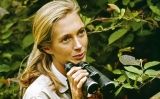 Jane Goodall a l'Àfrica