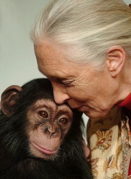 Jane Goodall no es cansa mai de fer feina