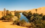 Un oasi entre les dunes