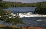 Les fonts del Nil Blanc a la riba nord del llac Victòria