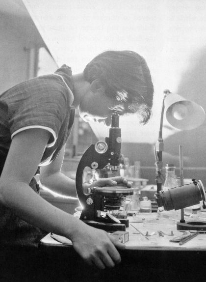 Rosalind Franklin mira pel microscopi